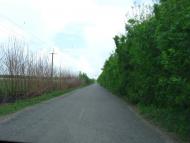 Губник з panoramio.com