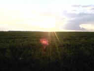 Базалія з panoramio.com