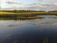 Дібрівка з panoramio.com