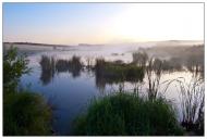 Лісове з panoramio.com