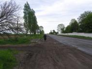 Мовчанів з panoramio.com