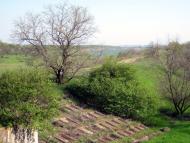 Переможне з panoramio.com