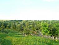 Пасат з panoramio.com