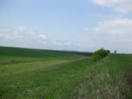 Черепашинці з panoramio.com