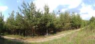 Орлівщина з panoramio.com - Орловщина
