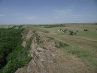 Черемшине з panoramio.com