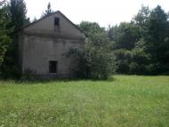 Виповзів з panoramio.com