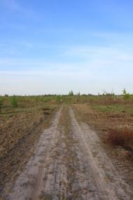 Залізня з panoramio.com