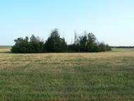 Червоноселівка - Останні фото