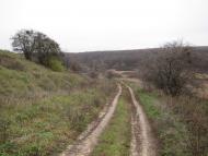 Суха Гомільша з panoramio.com