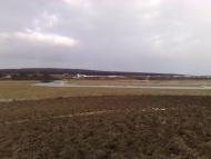 Підлозці з panoramio.com