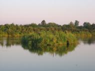 Варюшине з panoramio.com