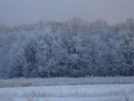 Олешки з panoramio.com