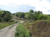 Кунівка з panoramio.com