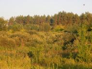 Білозір'я з panoramio.com