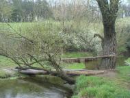 Гранітне з panoramio.com