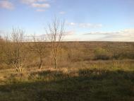 Нове з panoramio.com