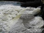 Набережне з panoramio.com