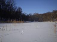 Петровское - Последние фото