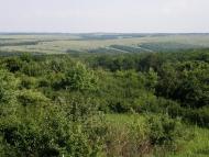 Маломиколаївка з panoramio.com