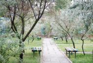 Біленьке з panoramio.com