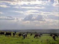 Іскрівка з panoramio.com