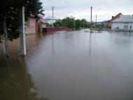 Лужани з panoramio.com