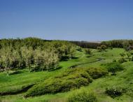 Гранітне з panoramio.com