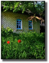 Красногорівка з panoramio.com