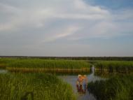 Карабачин з panoramio.com