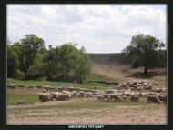 Черемшине з panoramio.com