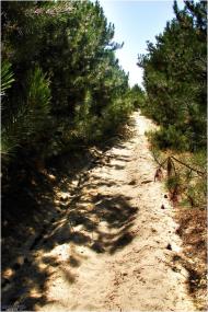 Покровське з panoramio.com