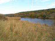 Новопетрівка з panoramio.com