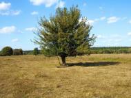 Острів з panoramio.com