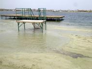 Вербіж з panoramio.com