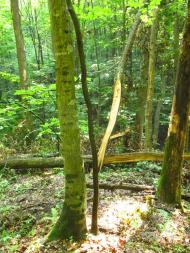 Нова Гута з panoramio.com