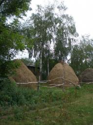 Чаплищі з panoramio.com