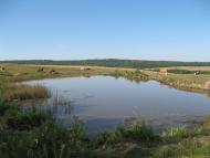 Милування з panoramio.com