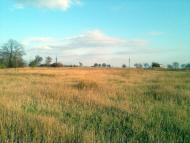 Стара Покровка з panoramio.com