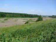 Суха Гомільша з panoramio.com