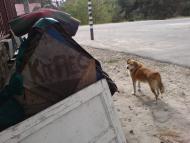 Плюти з panoramio.com