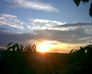 Добротів - Останні фото