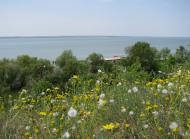 Озерне з panoramio.com