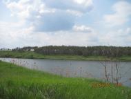 Бірюкове з panoramio.com