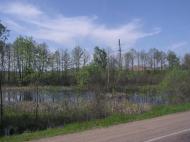 Поліське з panoramio.com