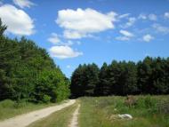 Козлин з panoramio.com