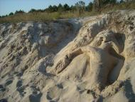 Покровське з panoramio.com