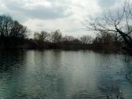 Лисичанський з panoramio.com