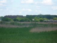 Василівка Перша з panoramio.com