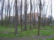 Сіряки з panoramio.com